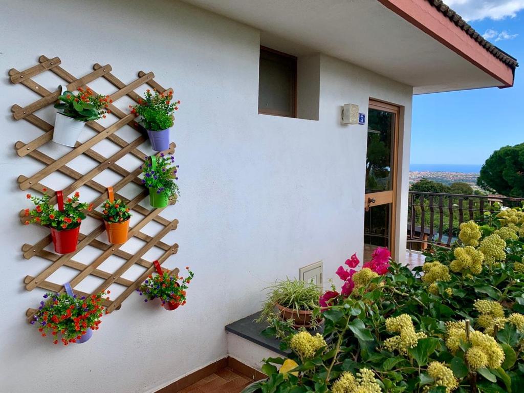 B&B Casa Di Antonio_Etna Vacanze Трекастаньї Екстер'єр фото