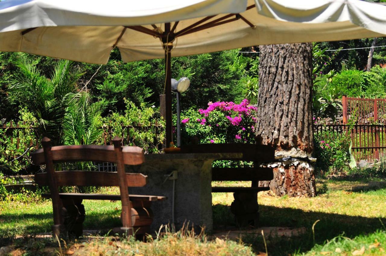 B&B Casa Di Antonio_Etna Vacanze Трекастаньї Екстер'єр фото