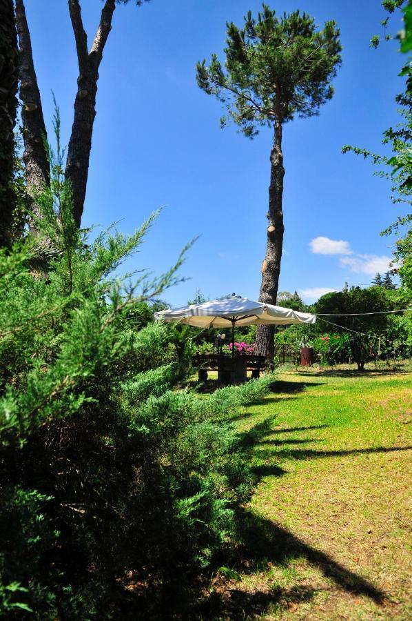 B&B Casa Di Antonio_Etna Vacanze Трекастаньї Екстер'єр фото