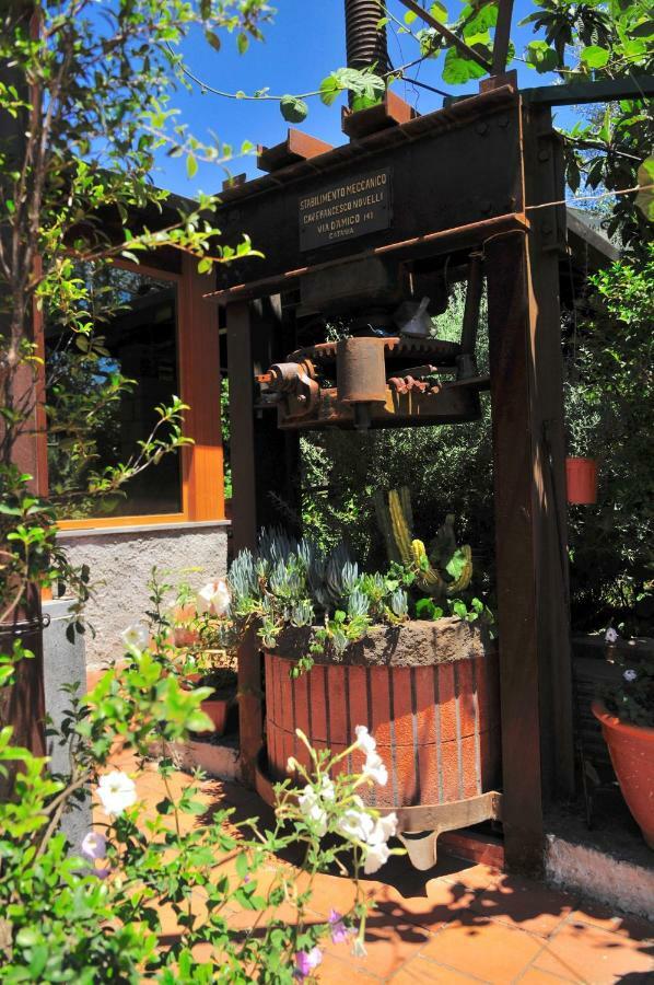 B&B Casa Di Antonio_Etna Vacanze Трекастаньї Екстер'єр фото