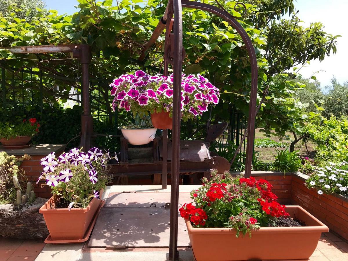 B&B Casa Di Antonio_Etna Vacanze Трекастаньї Екстер'єр фото