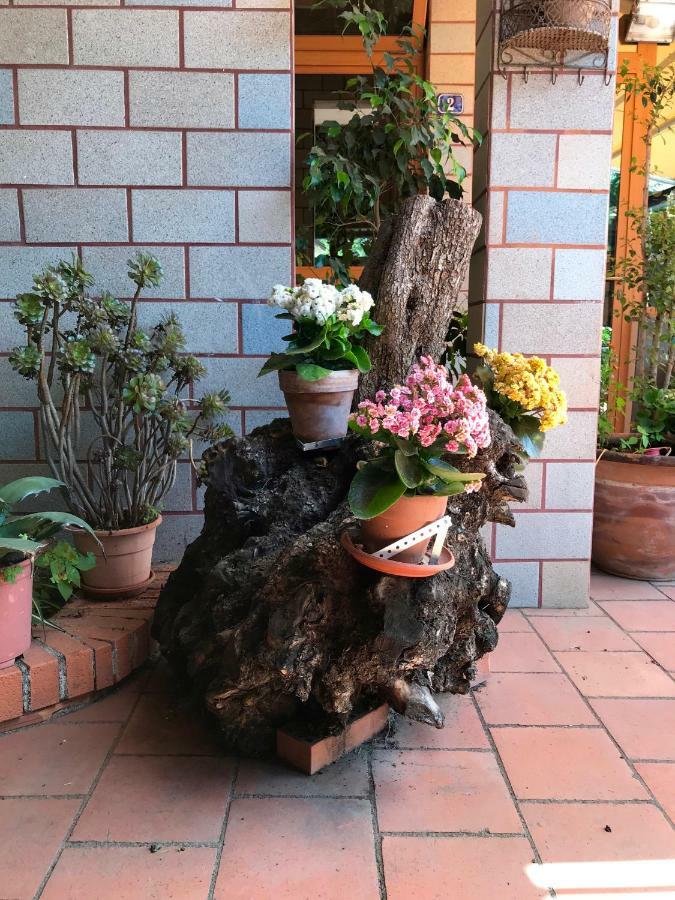 B&B Casa Di Antonio_Etna Vacanze Трекастаньї Екстер'єр фото
