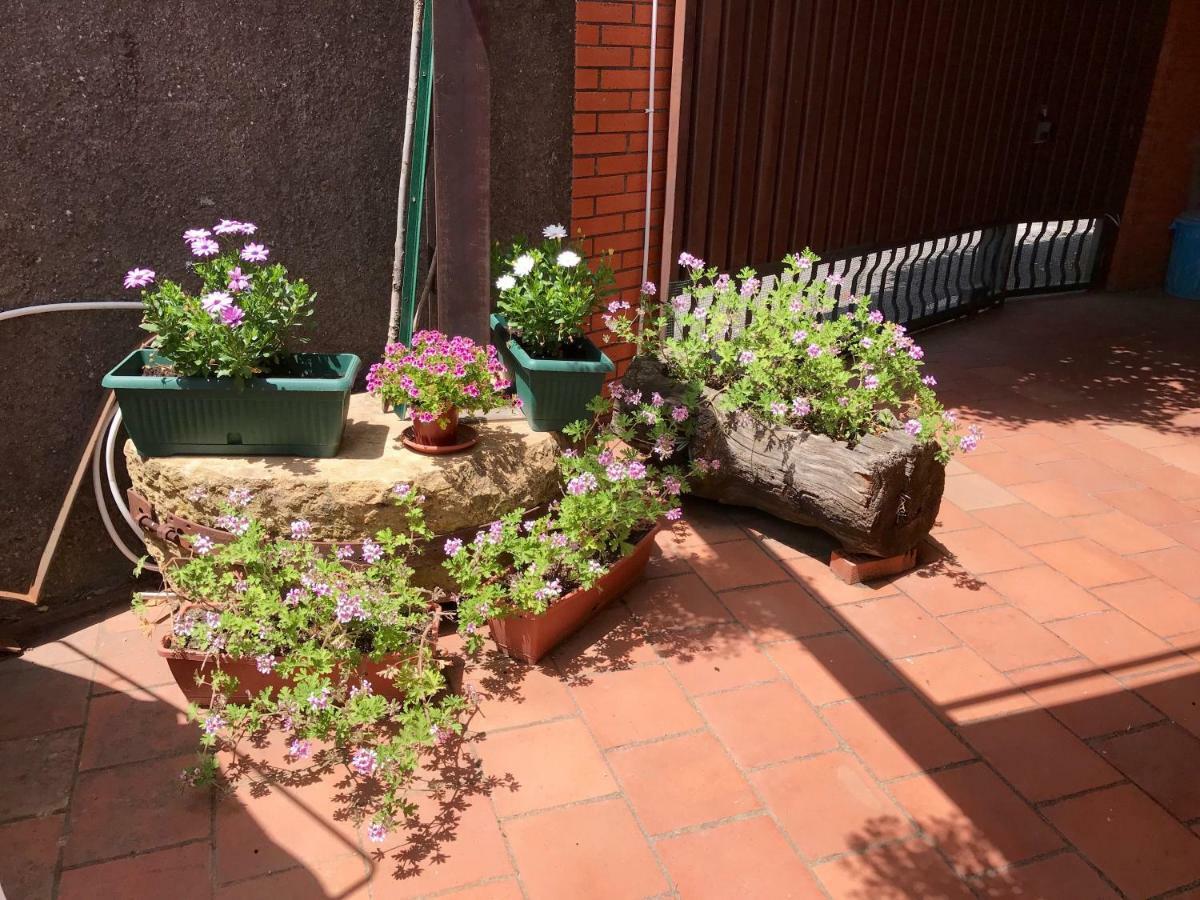B&B Casa Di Antonio_Etna Vacanze Трекастаньї Екстер'єр фото
